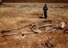 世界中で発掘された巨人の骨の存在は嘘？ その真偽とは